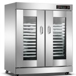 STRONGERTECH PMC Euro Strong Semi Automatic Proofing Cabinets Double Door